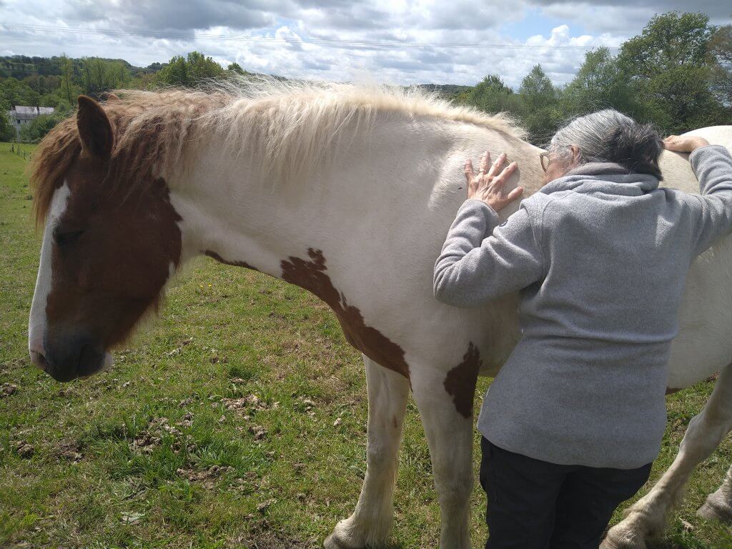 Femme âgée posant sa tête sur le dos d'un cheval